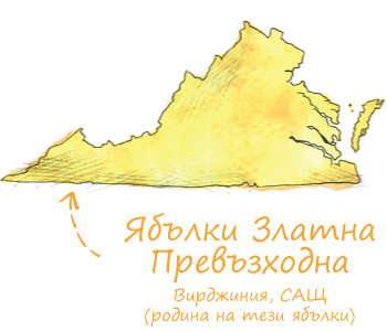 Био ябълки Златна превъзходна