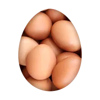 Млечни продукти